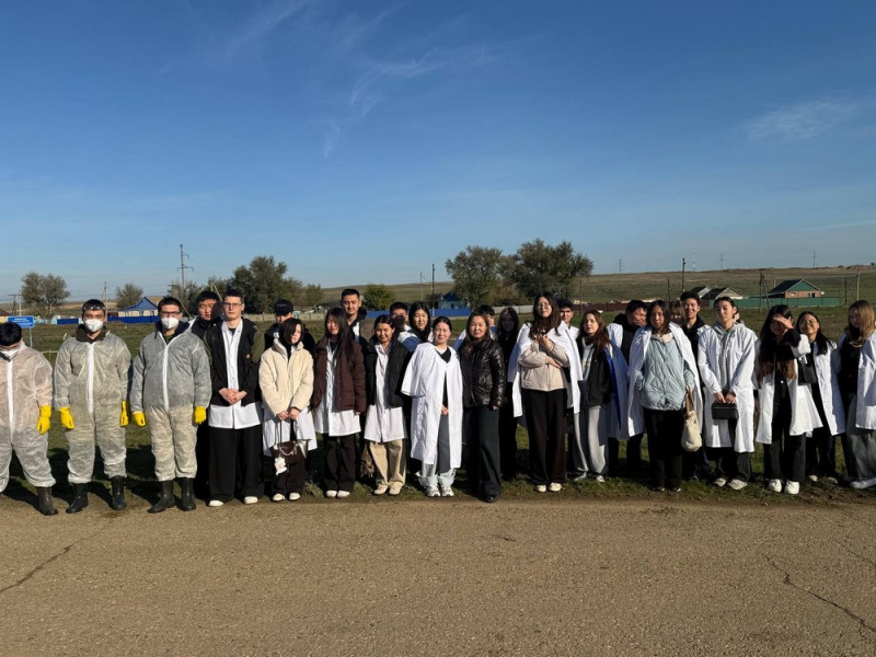 Студенты КПО приняли участие в командно-штабных учениях по ликвидации очага африканской чумы свиней