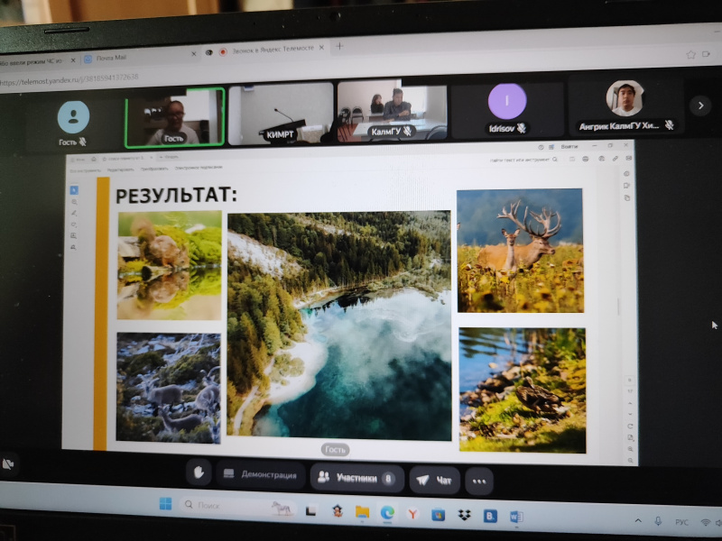 Участие кафедры химии и фармацевтической технологии в международном конкурсе молодежных проектов «Зеленый курс»