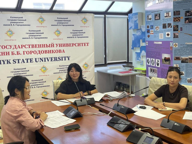 Онлайн-встреча между КалмГУ и Университетом Путра: новые возможности для студентов 